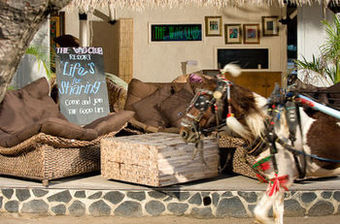 Hotel Scallywags Resort