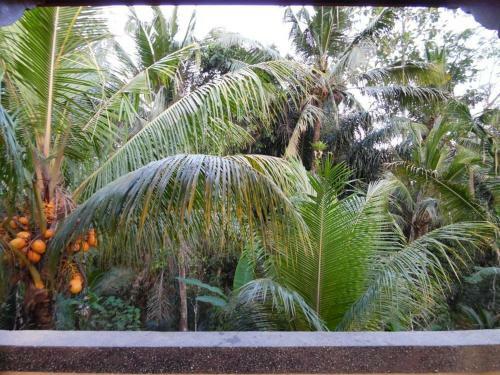 Lodge Hana House Ubud