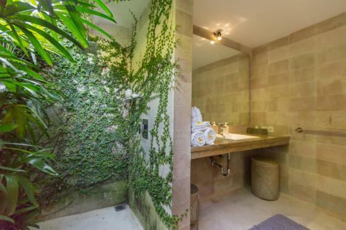Esha Villa Drupadi I