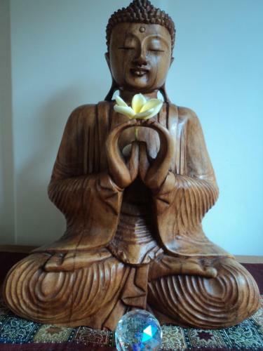 Hostal White Lotus Meditation Centre