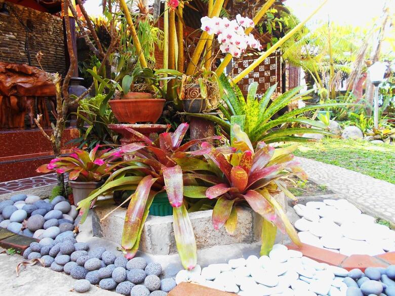 Hostal Puri Asri Bungalow Ubud