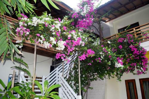 Hostal Panda Hostel
