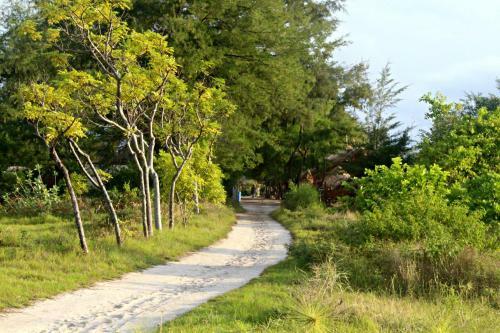 Hostal Panda Hostel