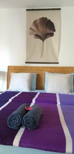 Hostal Little Elephant Cottage