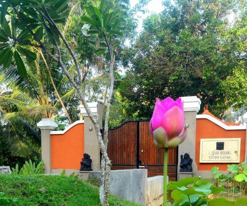 Hostal The Studio