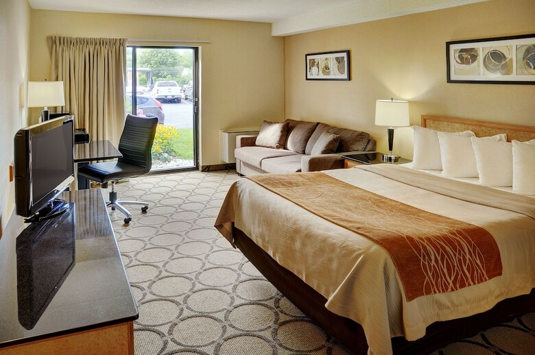 Hotel Comfort Inn Hamilton