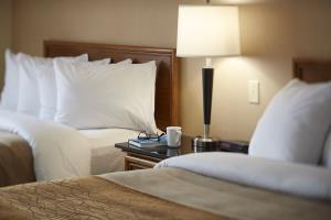 Hotel Comfort Inn South