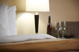 Hotel Comfort Inn South
