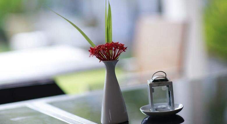 Hotel Arma��o Dos B�zios Pousada Design