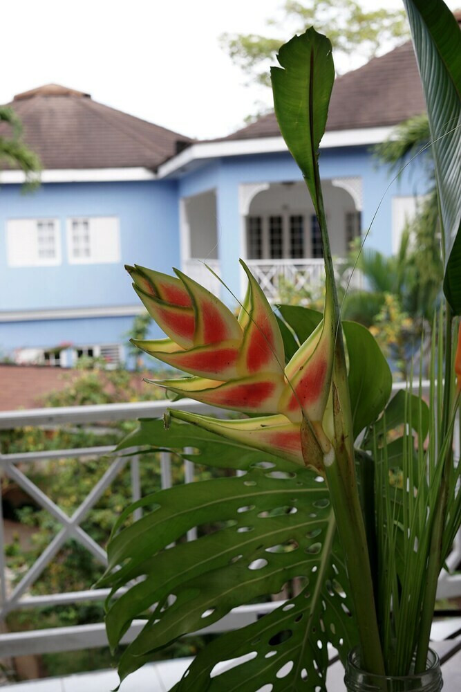 Hotel Beachcomber Club