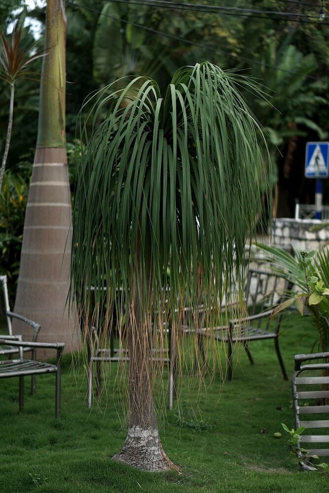 Hotel Beachcomber Club