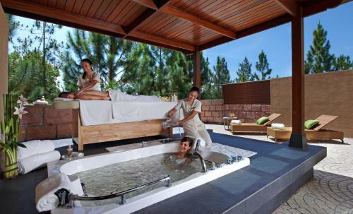 Hotel The Chateau Spa And Organic Wellness Resort