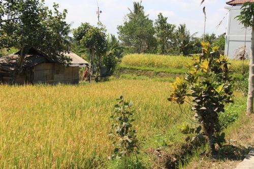 Hostal Nur Guest House