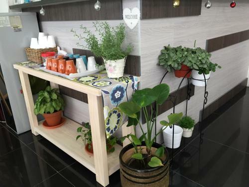 Calla Hotel