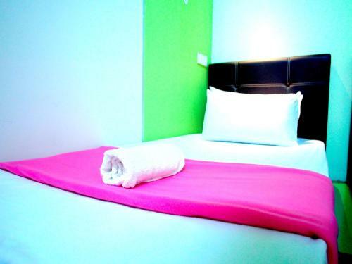 Albergue Milky Coat & Sunny Side