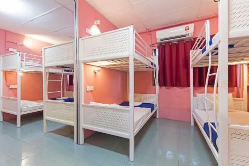 Albergue Milky Coat & Sunny Side