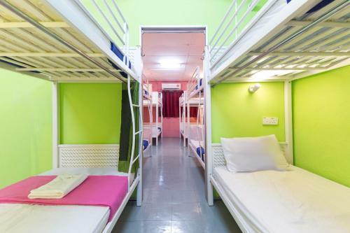 Albergue Milky Coat & Sunny Side