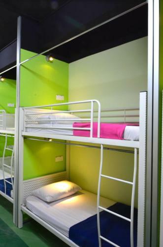 Albergue Milky Coat & Sunny Side