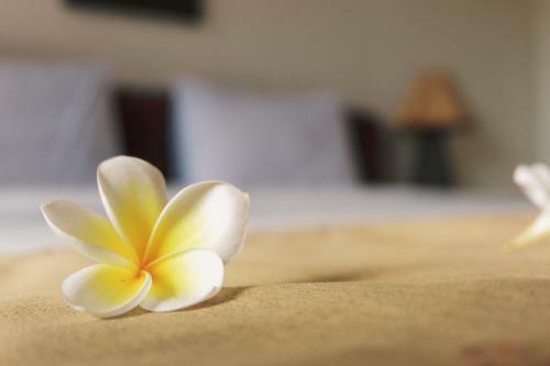 Hostal Puri Panca Jaya Hotel