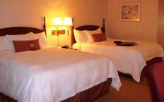 Hotel Hampton Inn-at The Falls