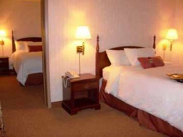 Hotel Hampton Inn-at The Falls