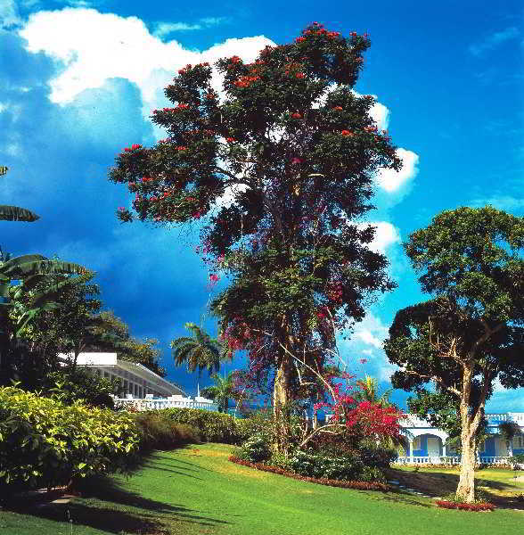 Hotel Jamaica Inn