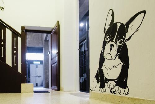 Paper Plane Hostel