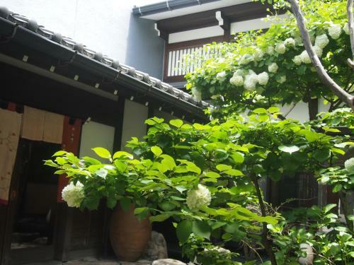 Oyado Koto No Yume