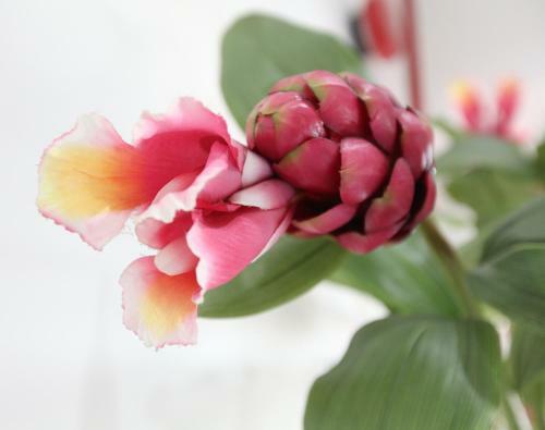 Gingerflower Boutique Hotel
