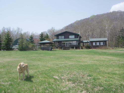 Bed & Breakfast Yado Hanafurari