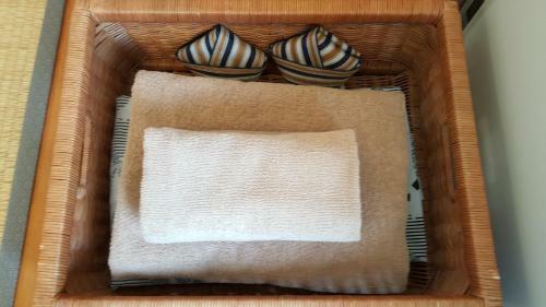 Hotel Daiwa Ryokan Annex