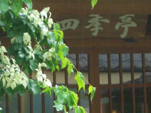Kashiwaya Honten