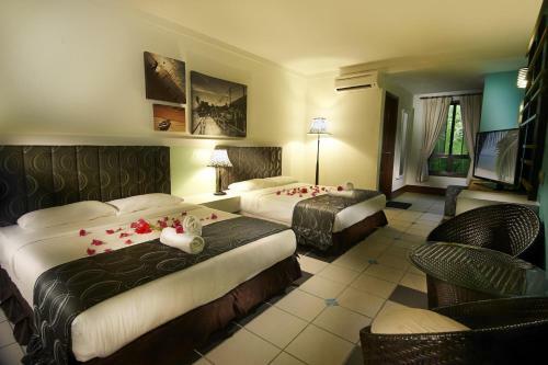 Hotel Paya Beach Spa & Dive Resort