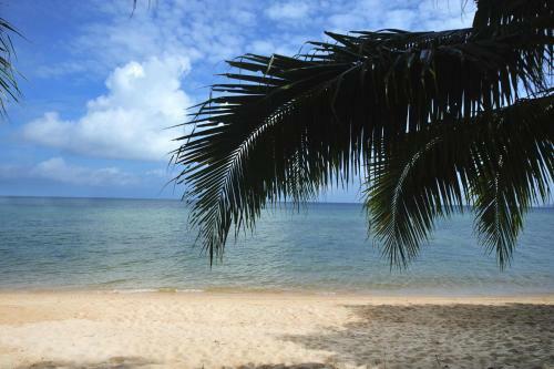 Hotel Paya Beach Spa & Dive Resort