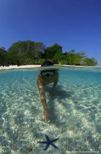 Hotel Paya Beach Spa & Dive Resort