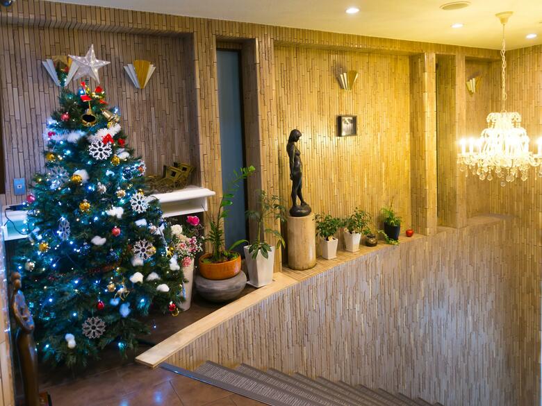 Tokyo Plaza Hotel
