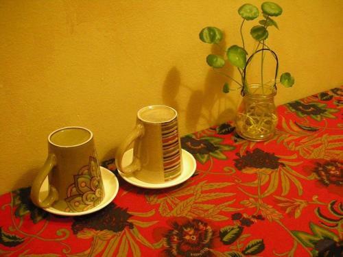 Bed & Breakfast Yshs Inn