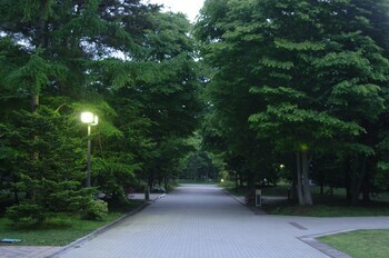 Sala Karuizawa Hotel
