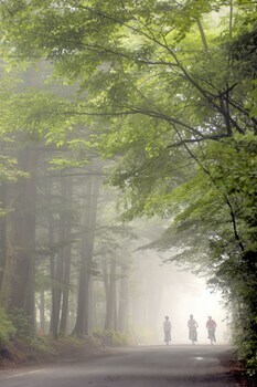 Sala Karuizawa Hotel