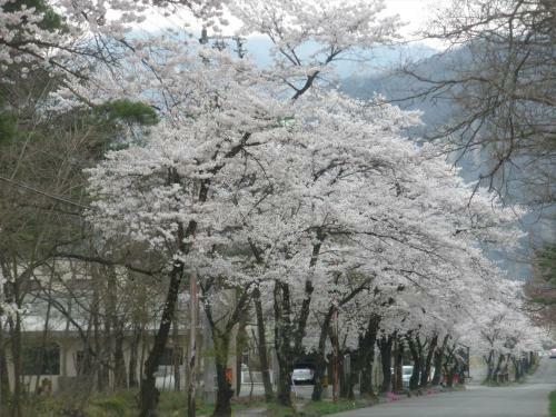 Green Valley Hakuba
