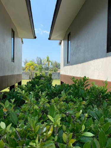 Hotel The Hip Resort @ Khao Lak