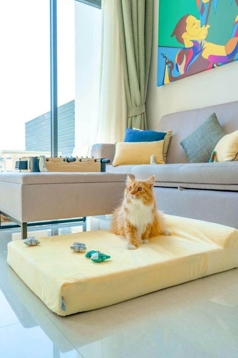 Hotel Cassia Phuket