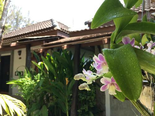 Hotel Bangtao Beach Chalet Resort
