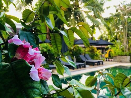 Hotel Bangtao Beach Chalet Resort