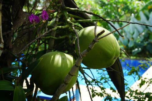 Hotel Bangtao Varee Beach