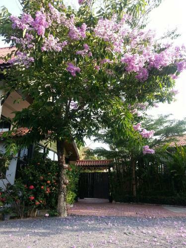 Hotel Bangtao Varee Beach