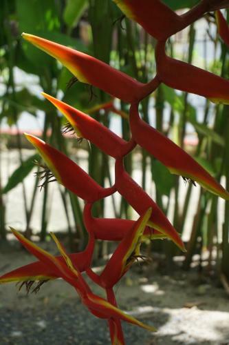 Hotel Bangtao Varee Beach