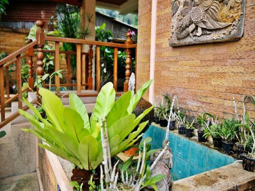 Hotel Baan Ss Karon