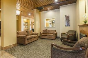 Hotel Quality Inn And Suites Downtown