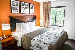 Hotel Sleep Inn Sarasota